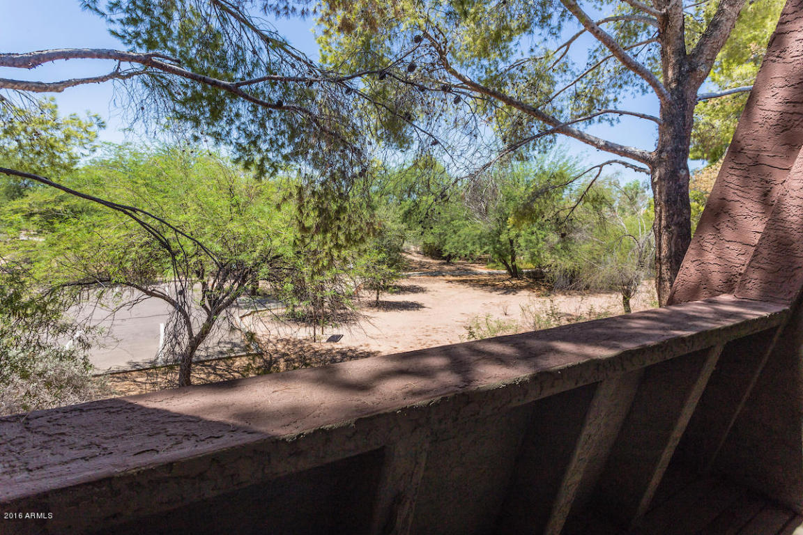 520 E Weber Dr #32, Tempe, AZ 85288 photo 36