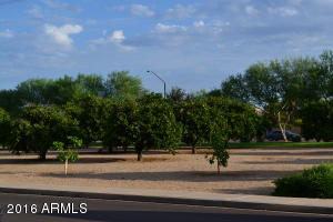 3509 E Meadowview Dr, Gilbert, AZ 85298 photo 1