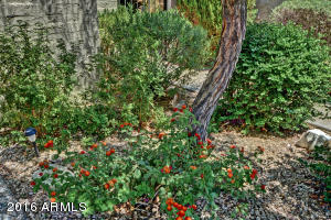 2940 W Juniper Ave, Phoenix, AZ 85053 photo 23