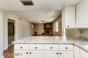 1459 E Jensen St, Mesa, AZ 85203 photo 20