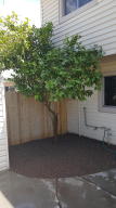 1227 E Minton Dr, Tempe, AZ 85282 photo 15