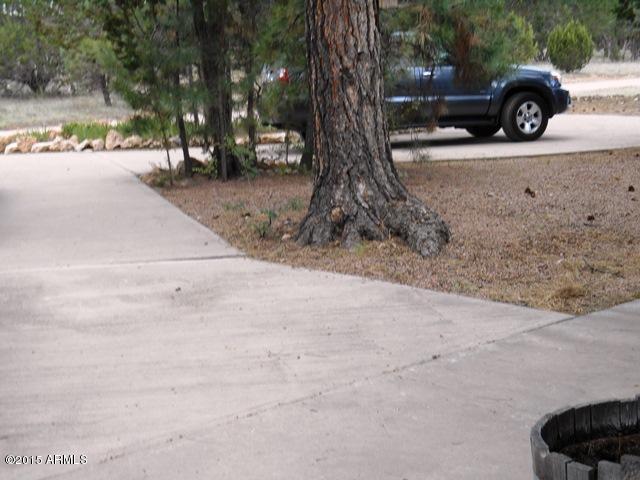 1916 Chevelon Rd, Overgaard, AZ 85933 photo 76