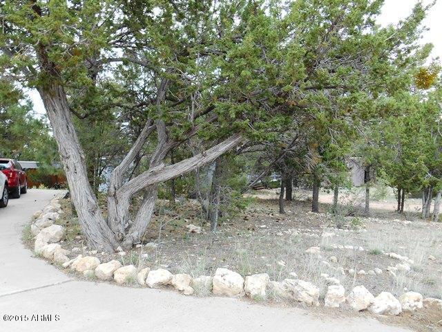 1916 Chevelon Rd, Overgaard, AZ 85933 photo 78