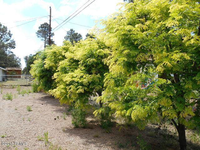 1916 Chevelon Rd, Overgaard, AZ 85933 photo 20