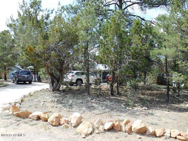 1916 Chevelon Rd, Overgaard, AZ 85933 photo 7