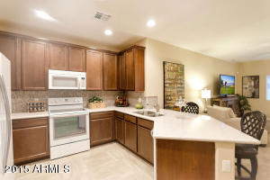 7726 E Baseline Rd #215, Mesa, AZ 85209 photo 9
