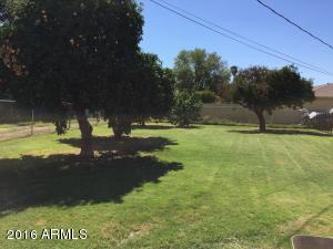 1305 E 3rd St, Mesa, AZ 85203 photo 7