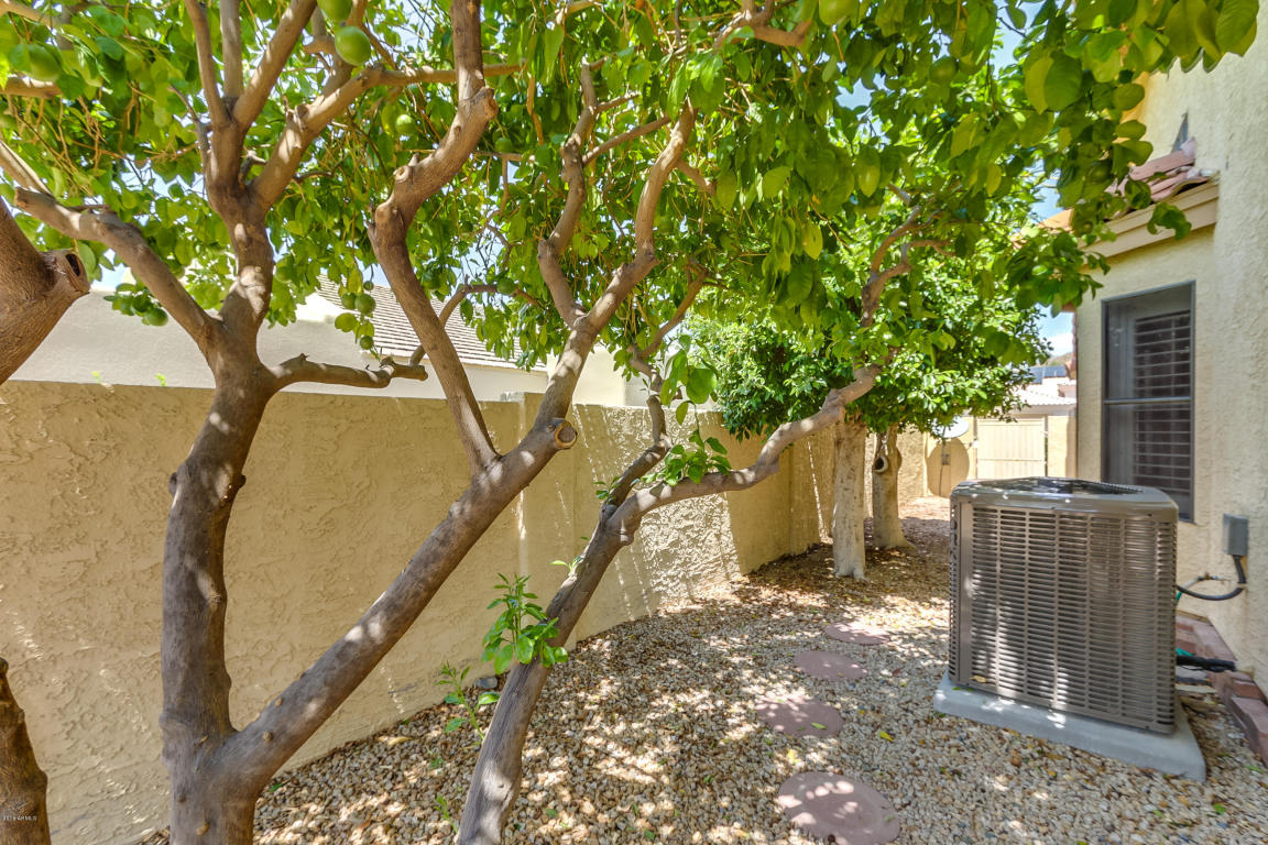 1225 E Seminole Dr, Phoenix, AZ 85022 photo 37