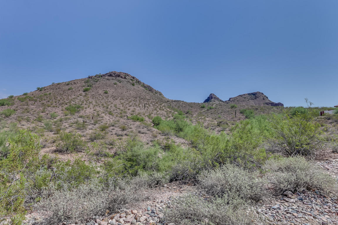 1225 E Seminole Dr, Phoenix, AZ 85022 photo 44