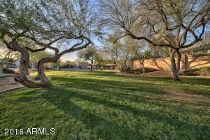 413 W Merrill Ave, Gilbert, AZ 85233 photo 32