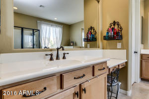 2714 E Lowell Ave, Gilbert, AZ 85295 photo 46