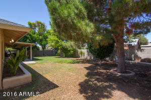 944 E Glencove St, Mesa, AZ 85203 photo 30