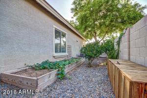 6943 S Ruby Dr, Chandler, AZ 85249 photo 34