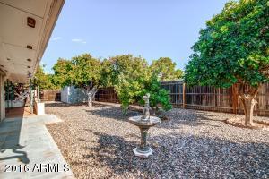 5305 E Dallas St, Mesa, AZ 85205 photo 6