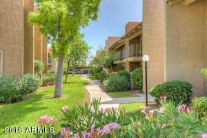 5525 E Thomas Rd #O3, Phoenix, AZ 85018 photo 1