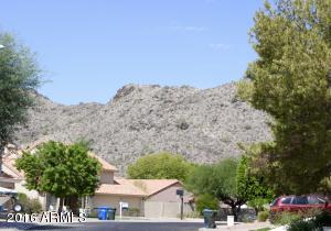 4358 E Mcneil St, Phoenix, AZ 85044 photo 3