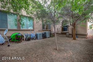 2968 E Agritopia Loop N, Gilbert, AZ 85296 photo 39