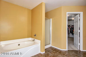 11512 E Renata Ave, Mesa, AZ 85212 photo 29