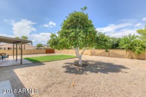 3416 E Cochise Dr, Phoenix, AZ 85028 photo 5