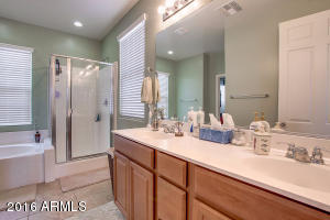 11255 E Sandoval Ave, Mesa, AZ 85212 photo 13