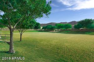 1002 E Gwen St, Phoenix, AZ 85042 photo 20