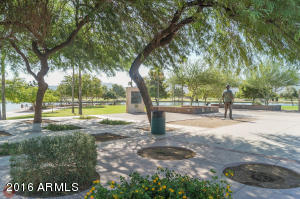 2533 W Apollo Rd, Phoenix, AZ 85041 photo 36