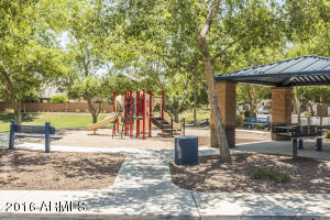 2561 E Boston St, Gilbert, AZ 85295 photo 29