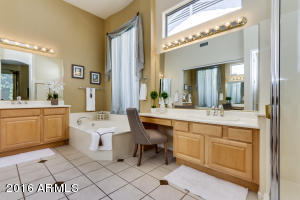 1241 N Bronco Ln, Gilbert, AZ 85233 photo 20