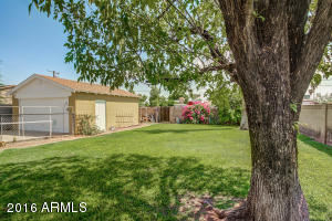 1943 W Flower St, Phoenix, AZ 85015 photo 29