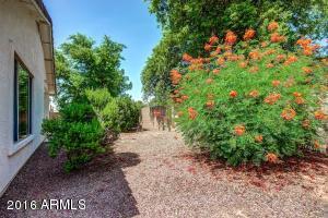 3628 E Bruce Ave, Gilbert, AZ 85234 photo 10