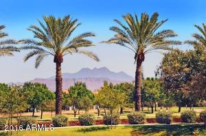 3029 E Appaloosa Rd, Gilbert, AZ 85296 photo 28