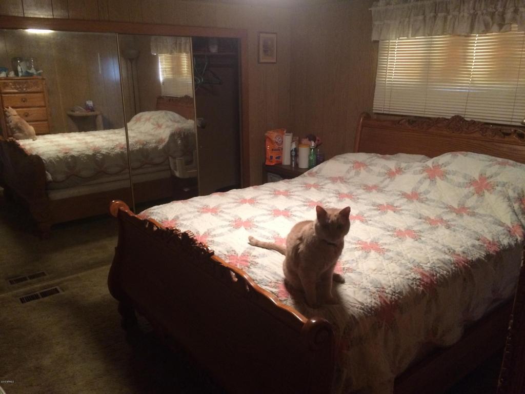 2645 S Mountain View Rd, Apache Junction, AZ 85119 photo 9