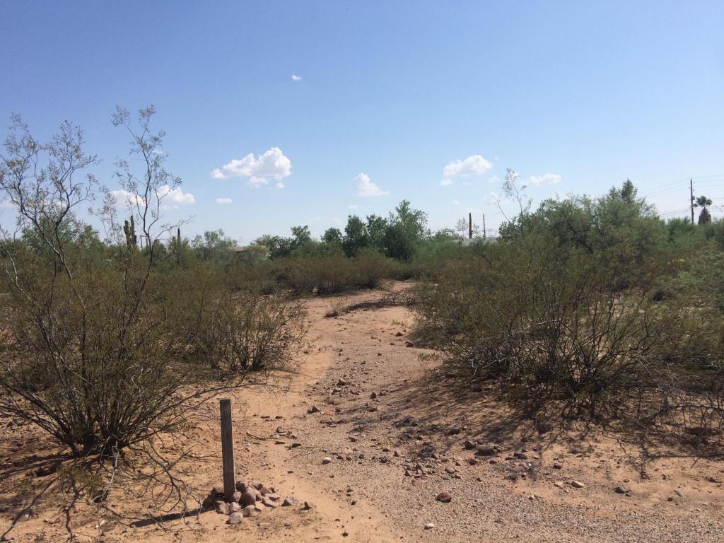 2645 S Mountain View Rd, Apache Junction, AZ 85119 photo 3