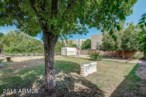 330 E 14th St, Tempe, AZ 85281 photo 21