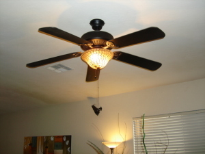 2147 S Gordon --, Mesa, AZ 85209 photo 11