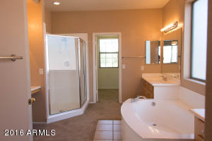 4291 E Sidewinder Ct, Gilbert, AZ 85297 photo 28