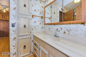 2902 E Le Marche Ave, Phoenix, AZ 85032 photo 16