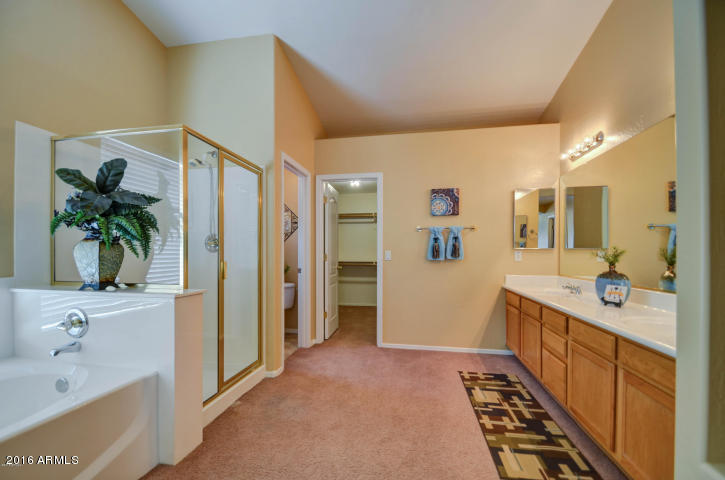 9918 E Natal Ave, Mesa, AZ 85209 photo 31