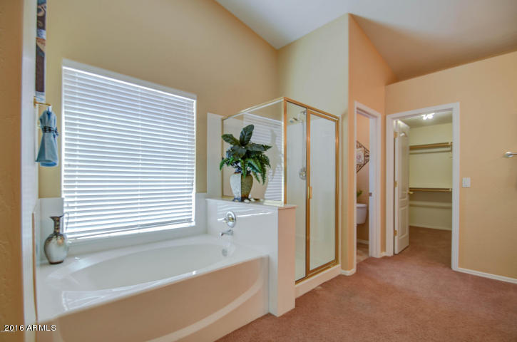 9918 E Natal Ave, Mesa, AZ 85209 photo 32