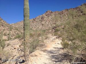 2539 E Cathedral Rock Dr, Phoenix, AZ 85048 photo 43