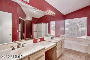 1009 W Cantebria Dr, Gilbert, AZ 85233 photo 18
