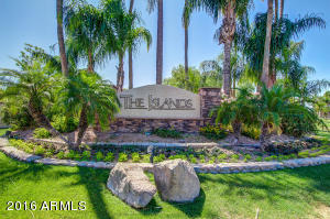 1009 W Cantebria Dr, Gilbert, AZ 85233 photo 24