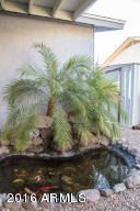 315 S Stardust Ln, Apache Junction, AZ 85120 photo 34