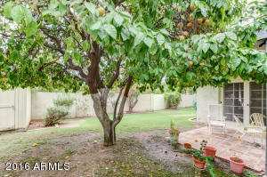 129 Echo Ln, Phoenix, AZ 85020 photo 28