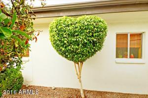1250 E Bethany Home Rd #6, Phoenix, AZ 85014 photo 29