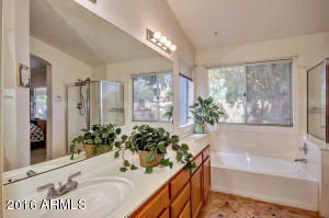 4732 E Michigan Ave, Phoenix, AZ 85032 photo 31