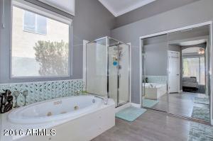7133 E Lobo Ave, Mesa, AZ 85209 photo 22