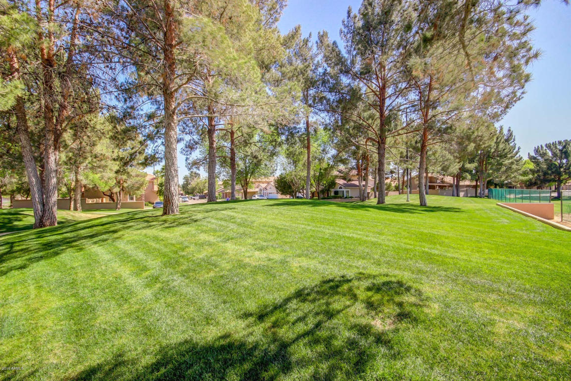 1526 E Catamaran Dr, Gilbert, AZ 85234 photo 69