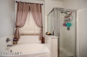 3862 E Kent Ave, Gilbert, AZ 85296 photo 9