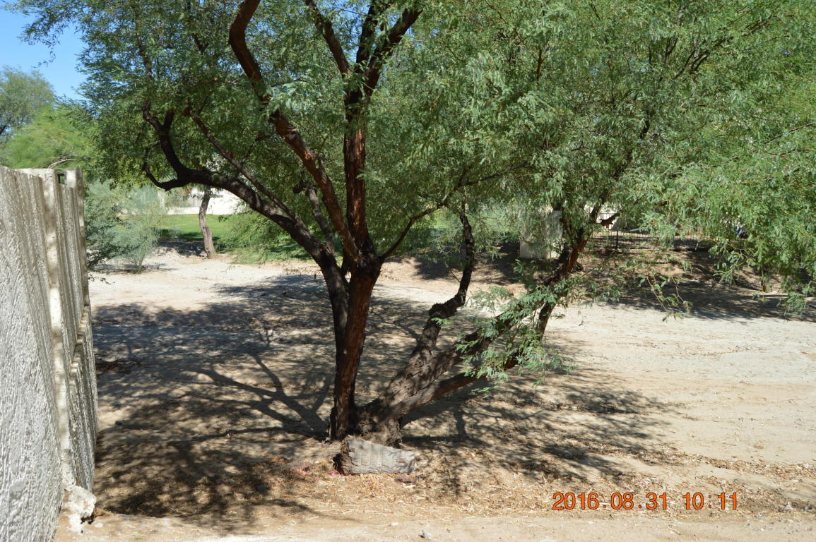 5040 E Siesta Dr #1, Phoenix, AZ 85044 photo 3